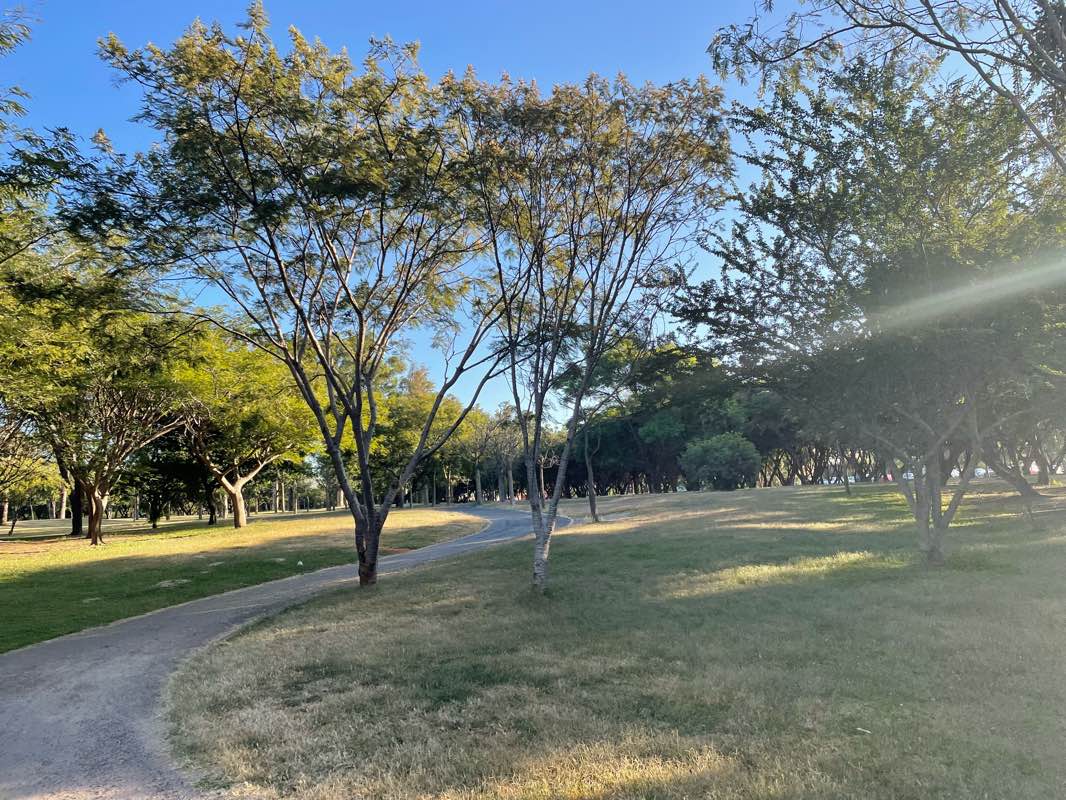 walking near me in Parque Metropolitano in winter