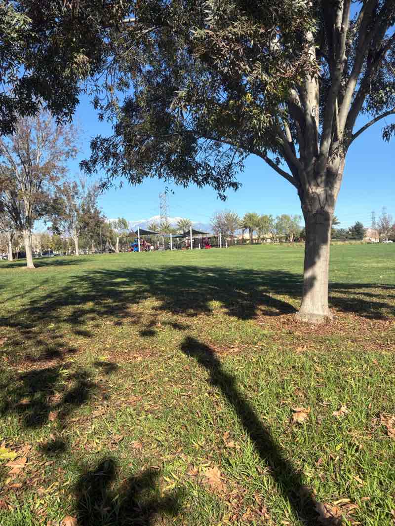 walking near me in Brookfield Recreation Center in winter