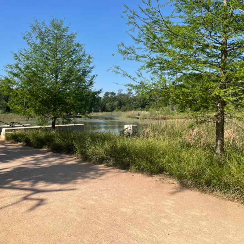 G. de la Torre 🇲🇽🐈⚽️🚲🏃🏽‍♂️ post 1