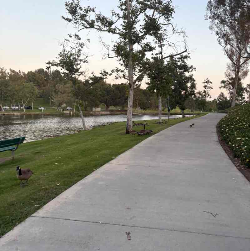 G. de la Torre 🇲🇽🐈⚽️🚲🏃🏽‍♂️ post 1