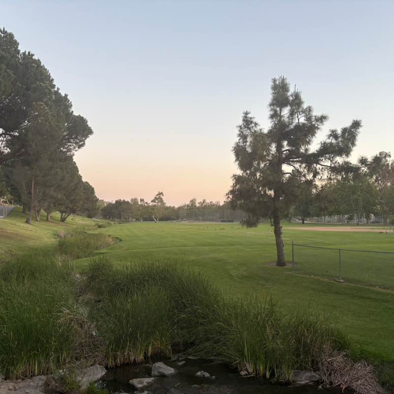 G. de la Torre 🇲🇽🐈⚽️🚲🏃🏽‍♂️ post 3