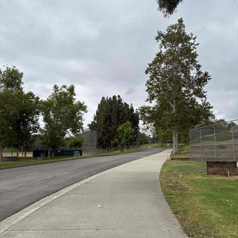 G. de la Torre 🇲🇽🐈⚽️🚲🏃🏽‍♂️ post 1