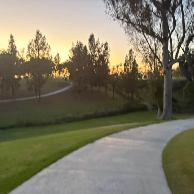 G. de la Torre 🇲🇽🐈⚽️🚲🏃🏽‍♂️ post 2