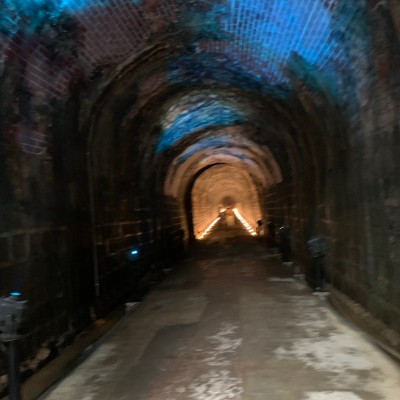 中興林場 余 post image