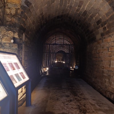 中興林場 余 post image