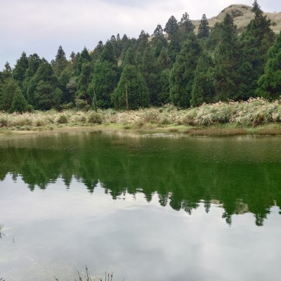 中興林場 余 post image