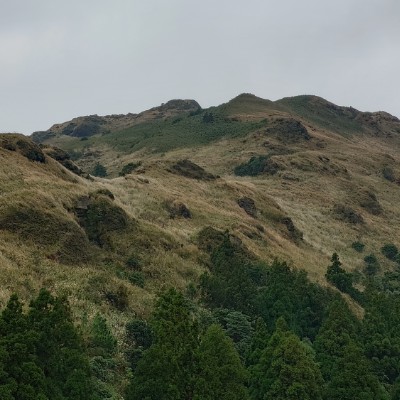 中興林場 余 post image