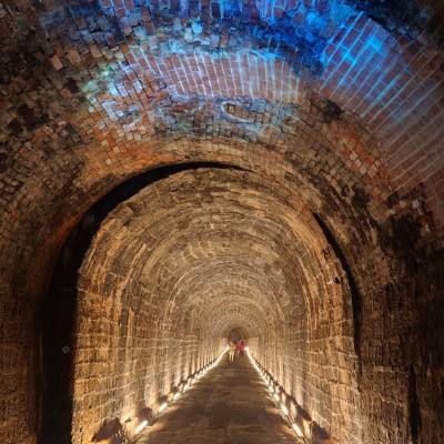 中興林場 余 post image