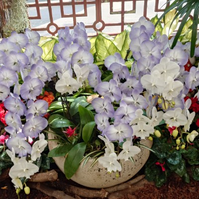 中興林場 余 post image