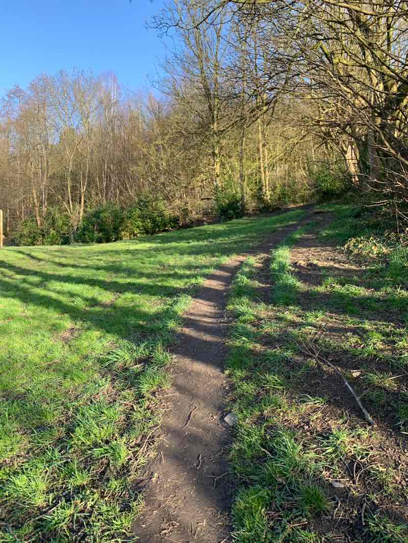 walking near me in Coronation Park in spring