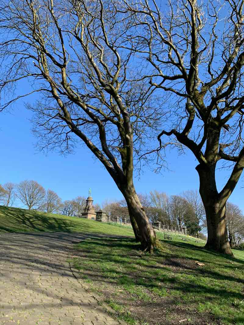 walking near me in West View Park in spring