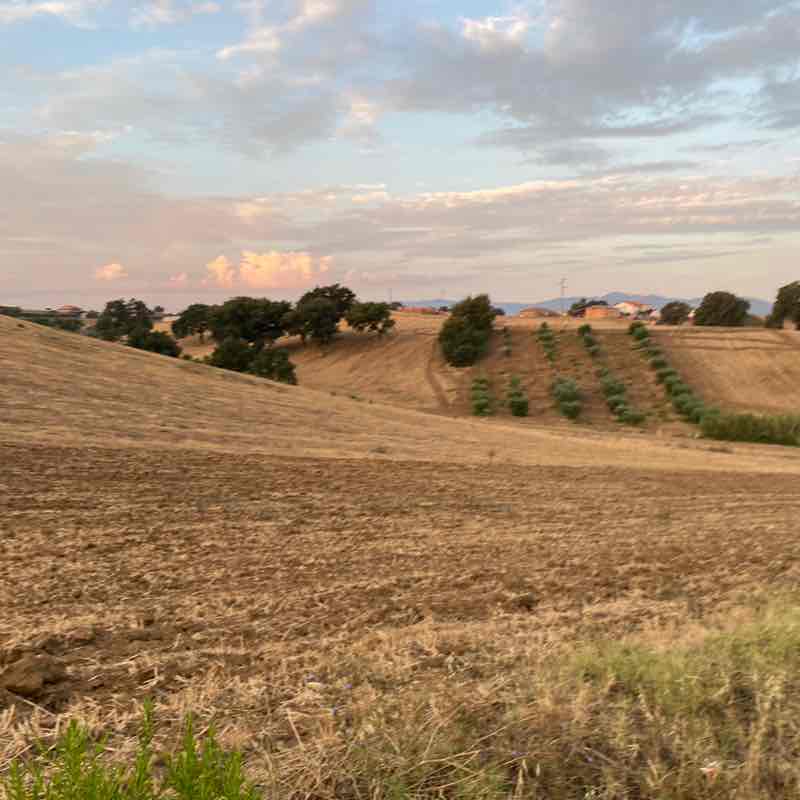 Anna Petrasso post 3