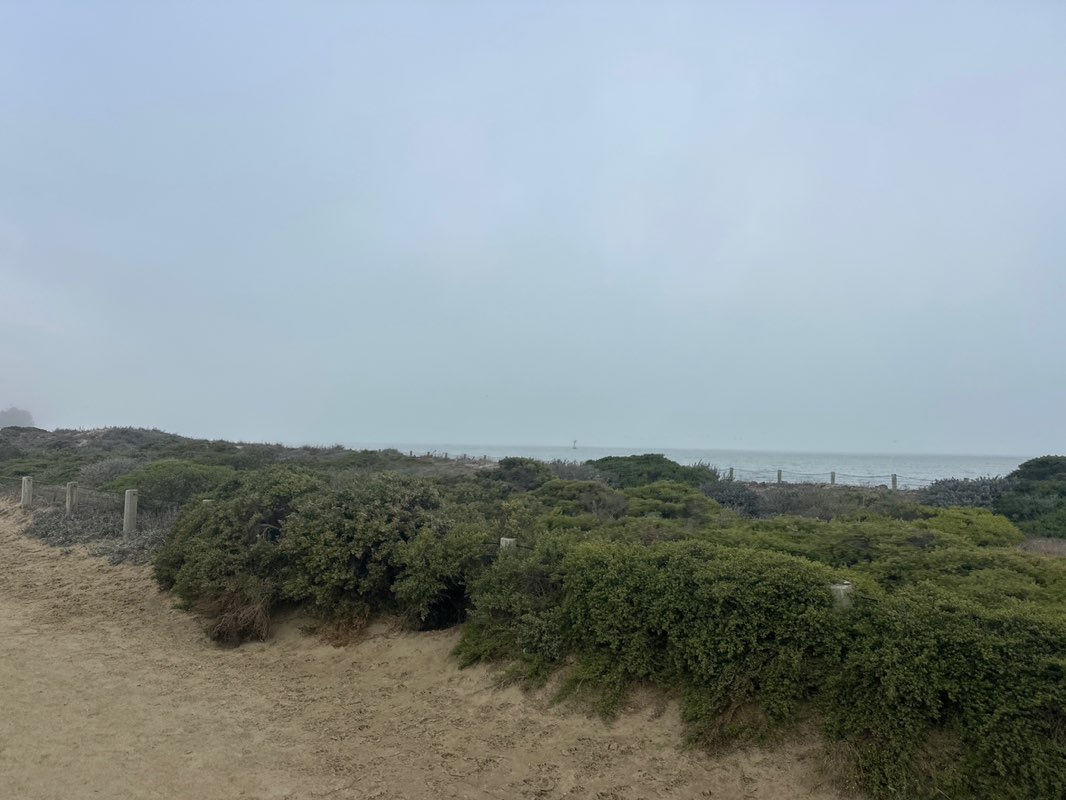 walking near me in Presidio of San Francisco in autumn