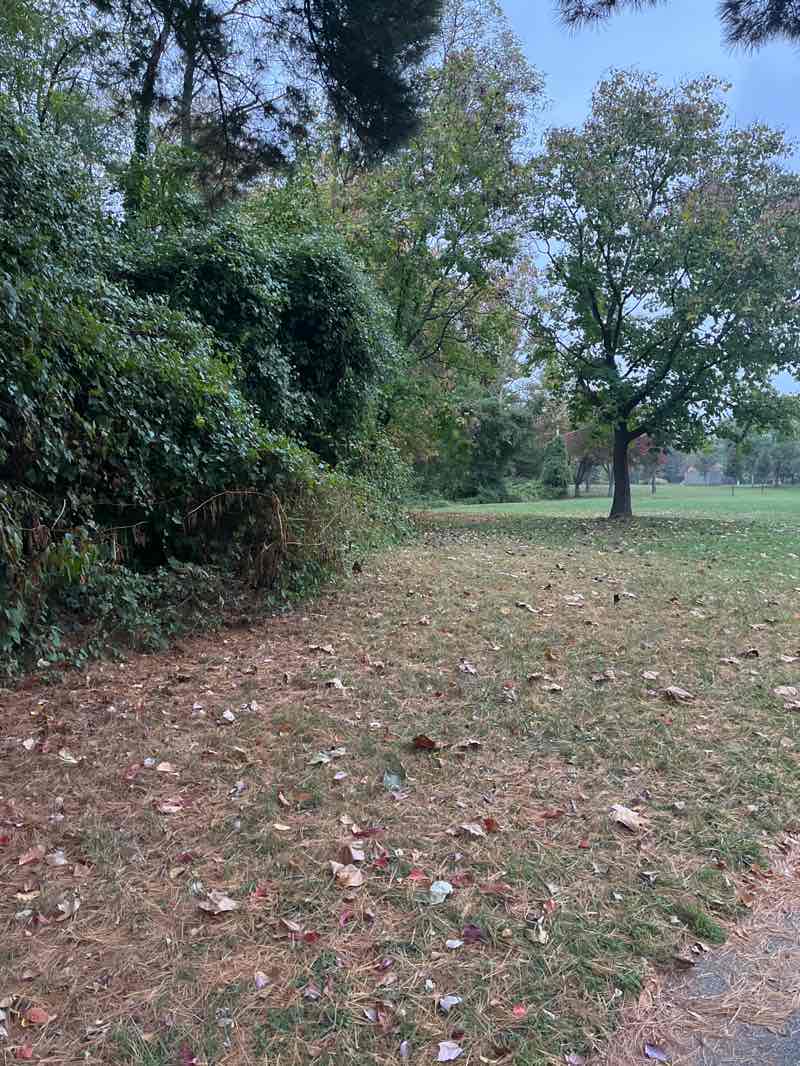 walking near me in Falls Road Park in autumn