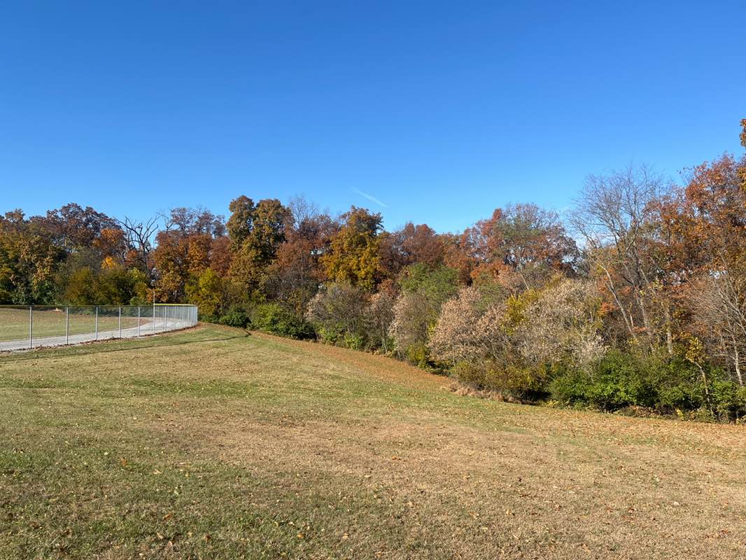 walking near me in Carroll County Sports Complex in autumn