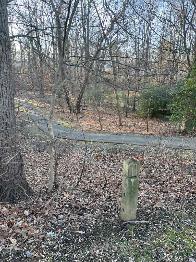 walking near me in Drake Drive Neighborhood Conservation Area in winter