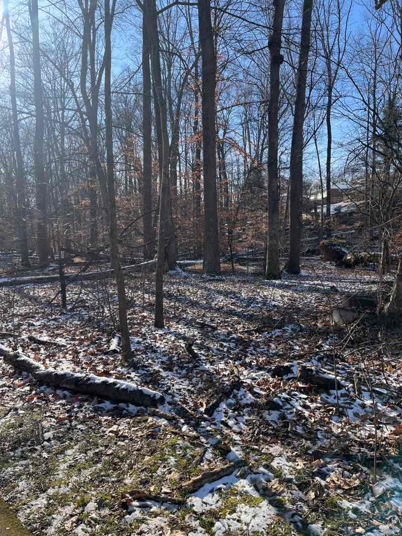 walking near me in Drake Drive Neighborhood Conservation Area in winter