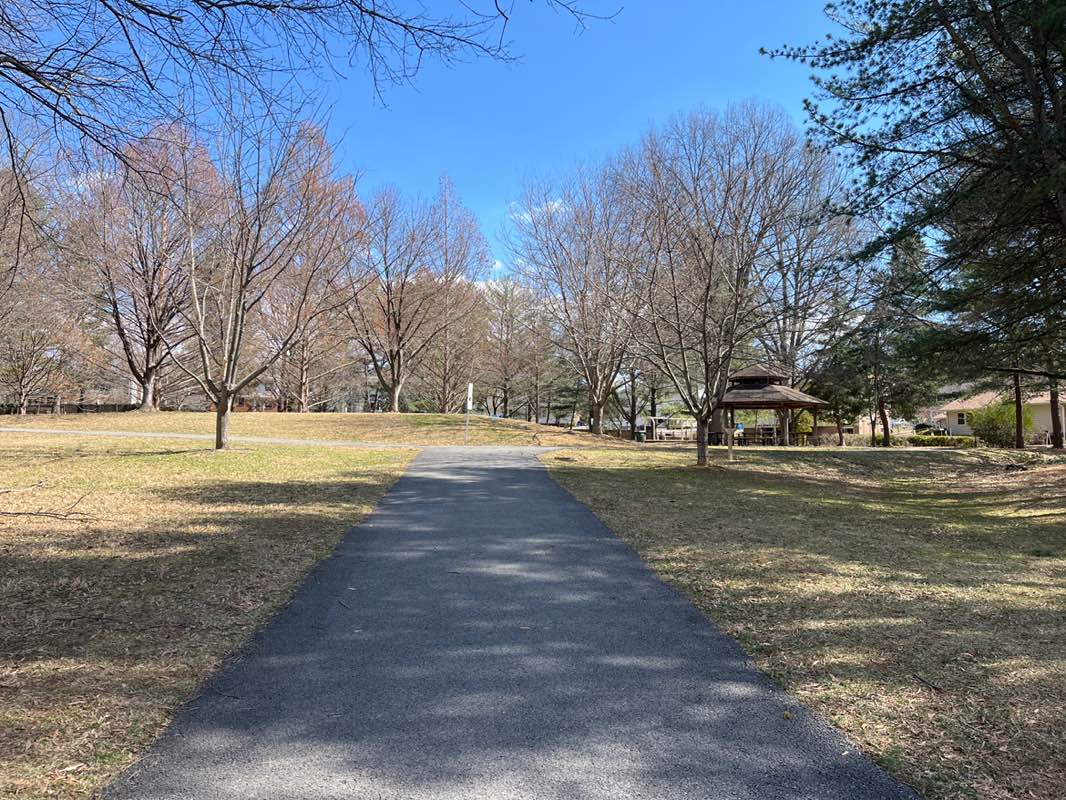 walking near me in Highland Stone Neighborhood Park in spring