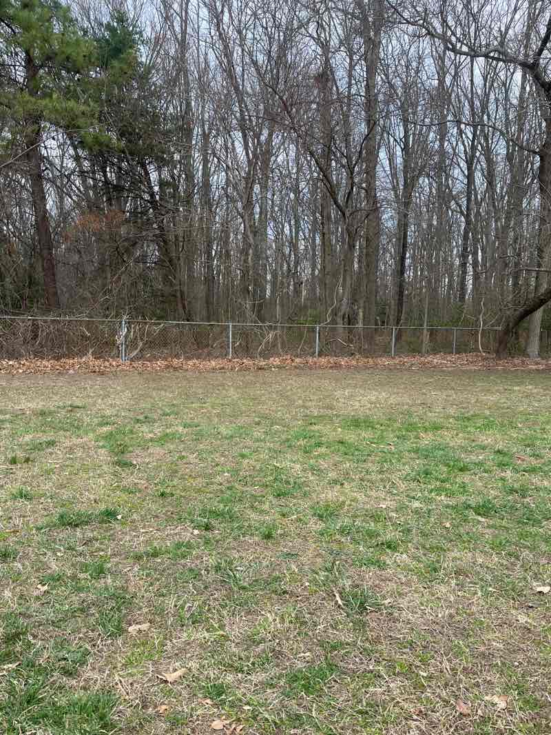 walking near me in Bodkin Park in spring