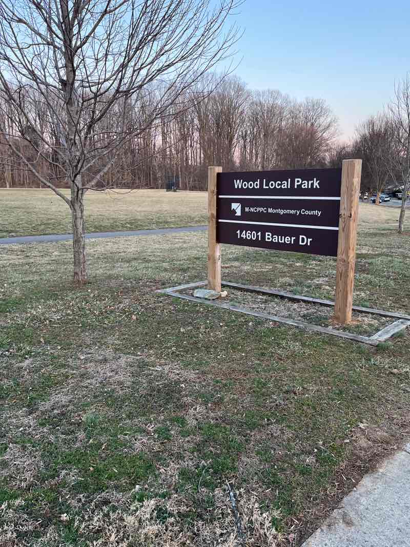 walking near me in Wood Local Park in spring