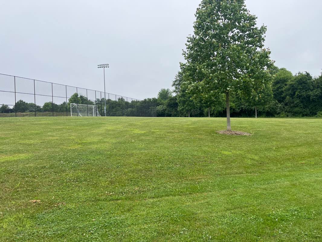 walking near me in Laytonia Recreational Park in summer