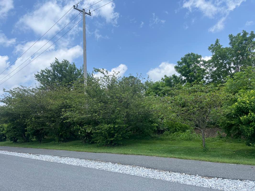 walking near me in Hampstead Municipal Park in summer