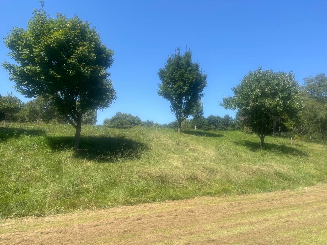 walking near me in Avenel Local Park in autumn
