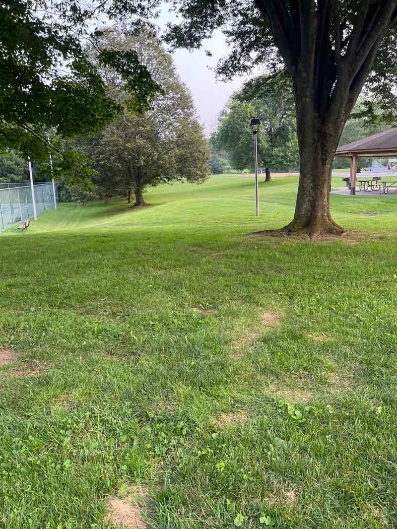 walking near me in Sundown Road Local Park in autumn