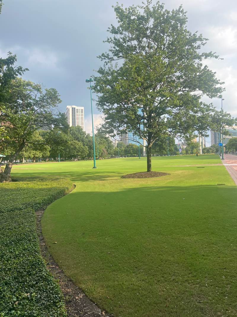walking near me in Centennial Olympic Park in autumn