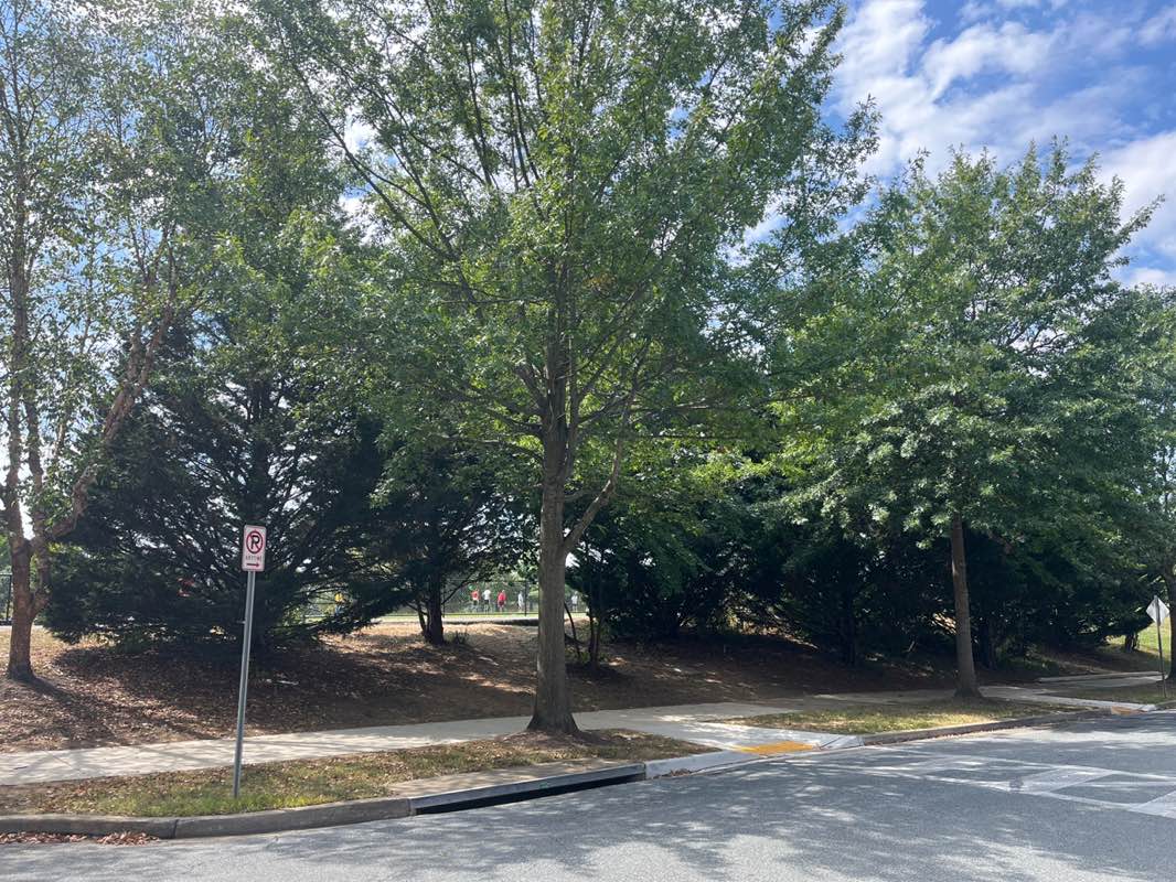 walking near me in Lakelands Park in autumn