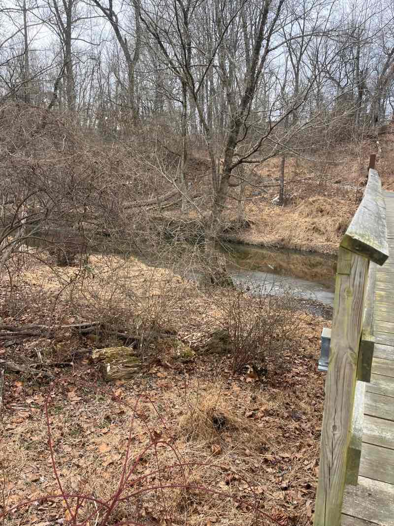 walking near me in Rock Creek Stream Valley Park in winter