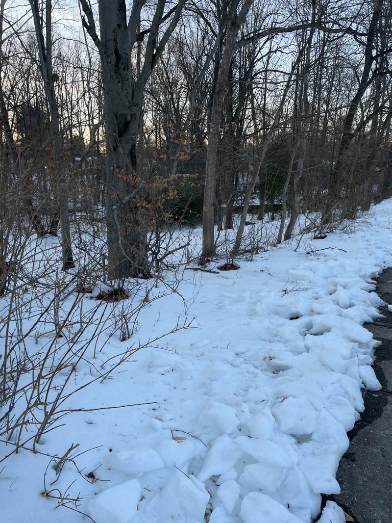 walking near me in Drake Drive Neighborhood Conservation Area in winter