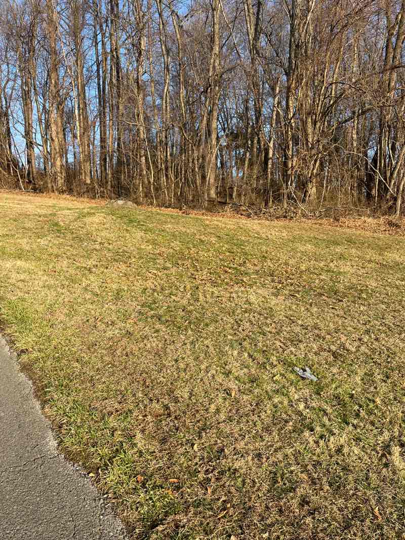 walking near me in Wood Local Park in spring