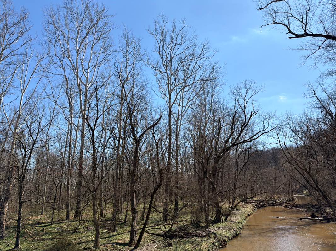 walking near me in Rock Creek Stream Valley Park in spring