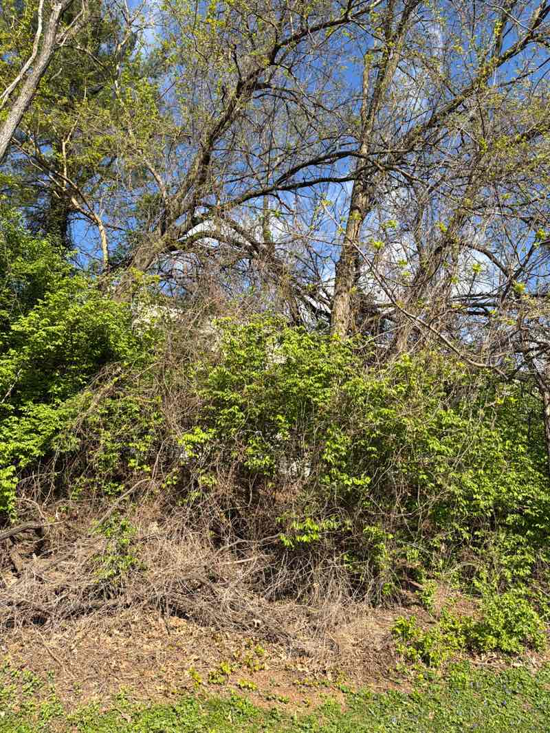 walking near me in Timberlawn Park in spring