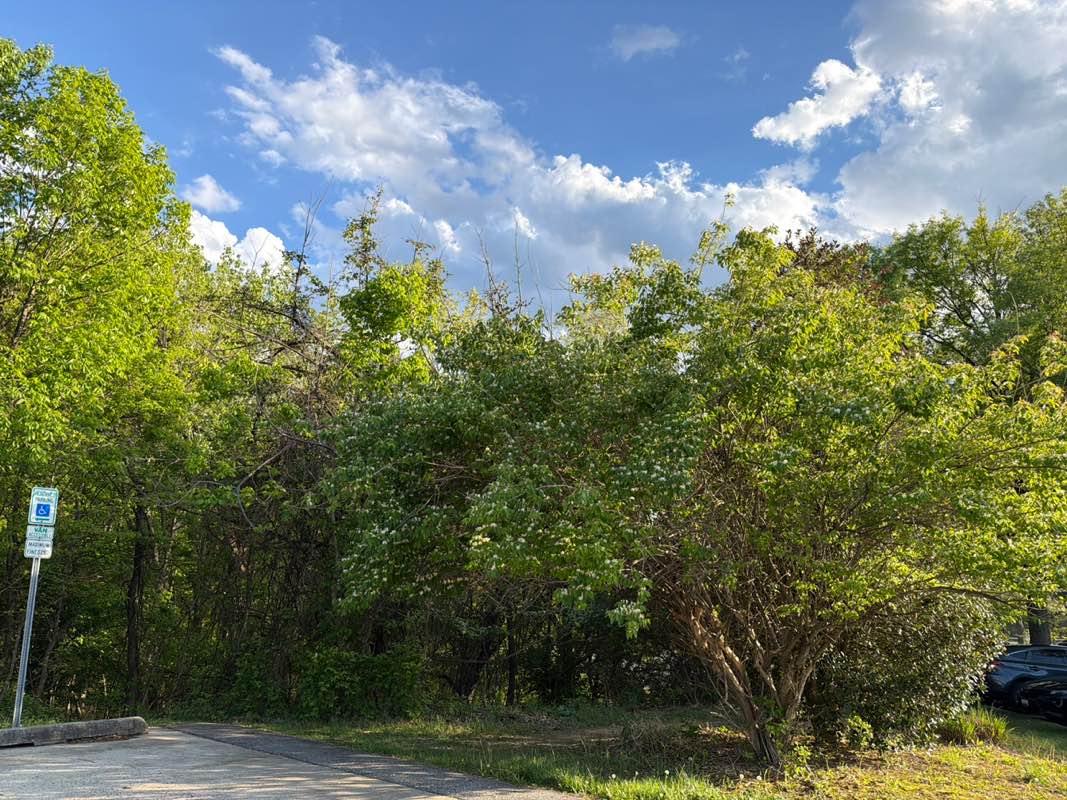 walking near me in Potomac Community Neighborhood Park in spring