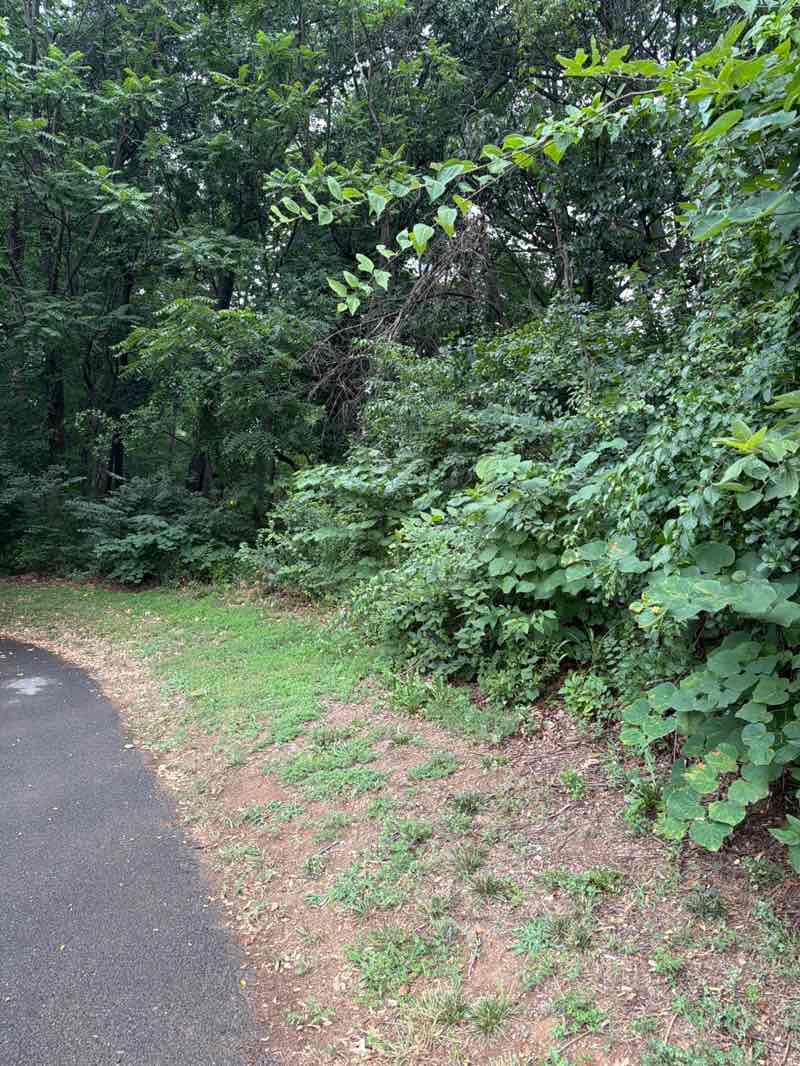 walking near me in Ridge Road Recreational Park in summer