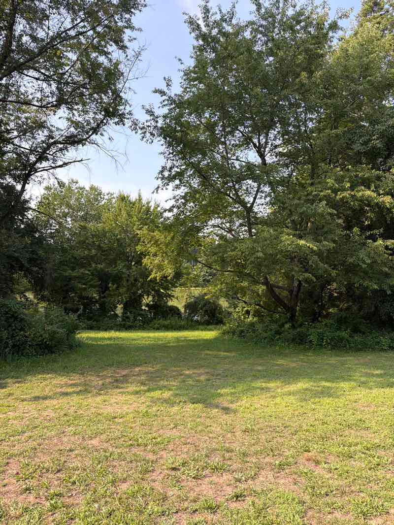 walking near me in Martin Luther King Jr. Recreational Park in summer