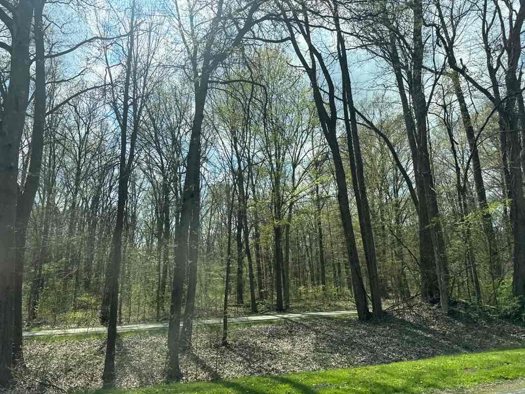 walking near me in Lower Huron Metropark in spring