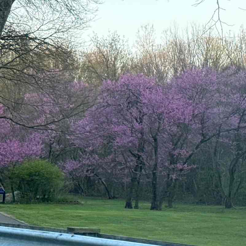 Tentonhammer316 post 1