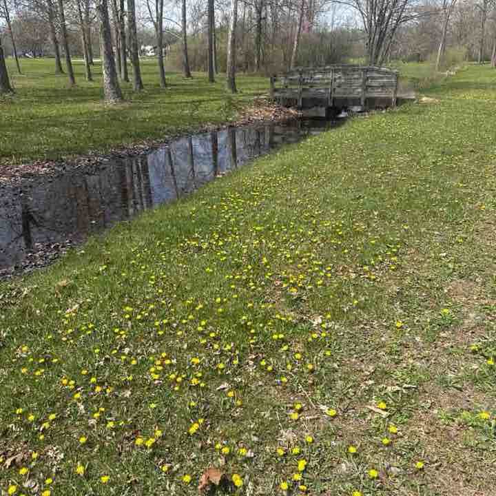 Tentonhammer316 post 1