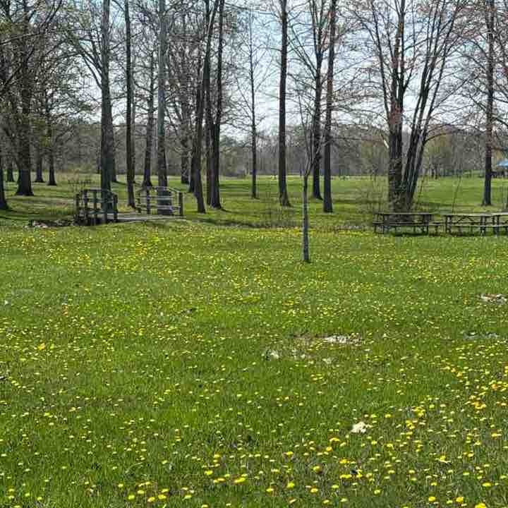 Tentonhammer316 post 1