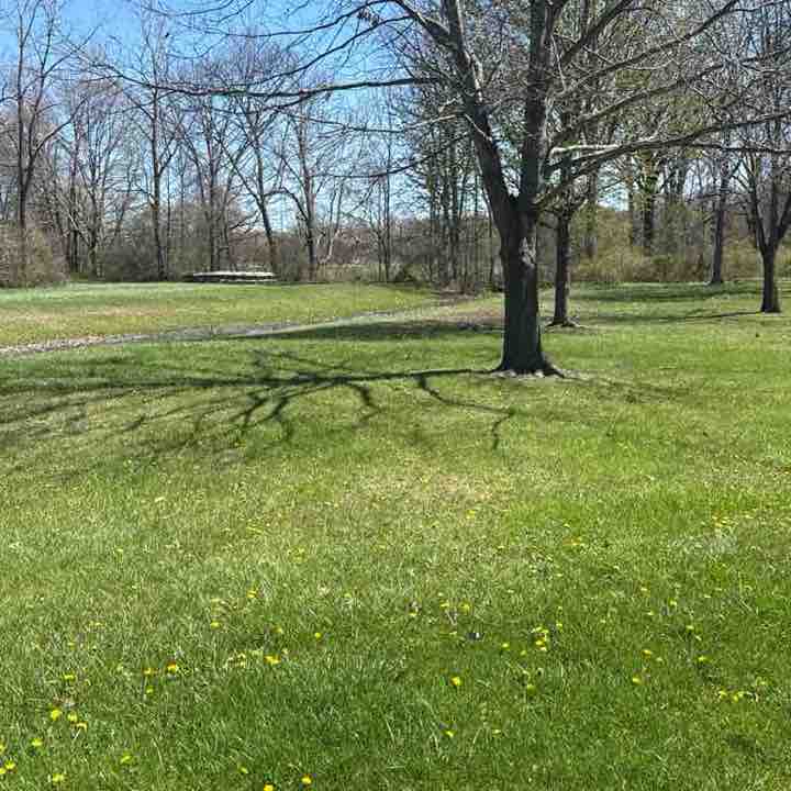 Tentonhammer316 post 1