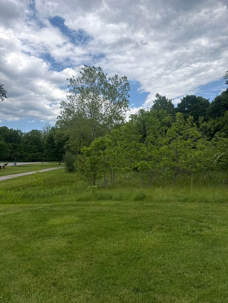 walking near me in Lower Huron Metropark in summer