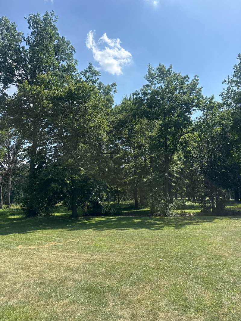 walking near me in Willow Metropark in summer