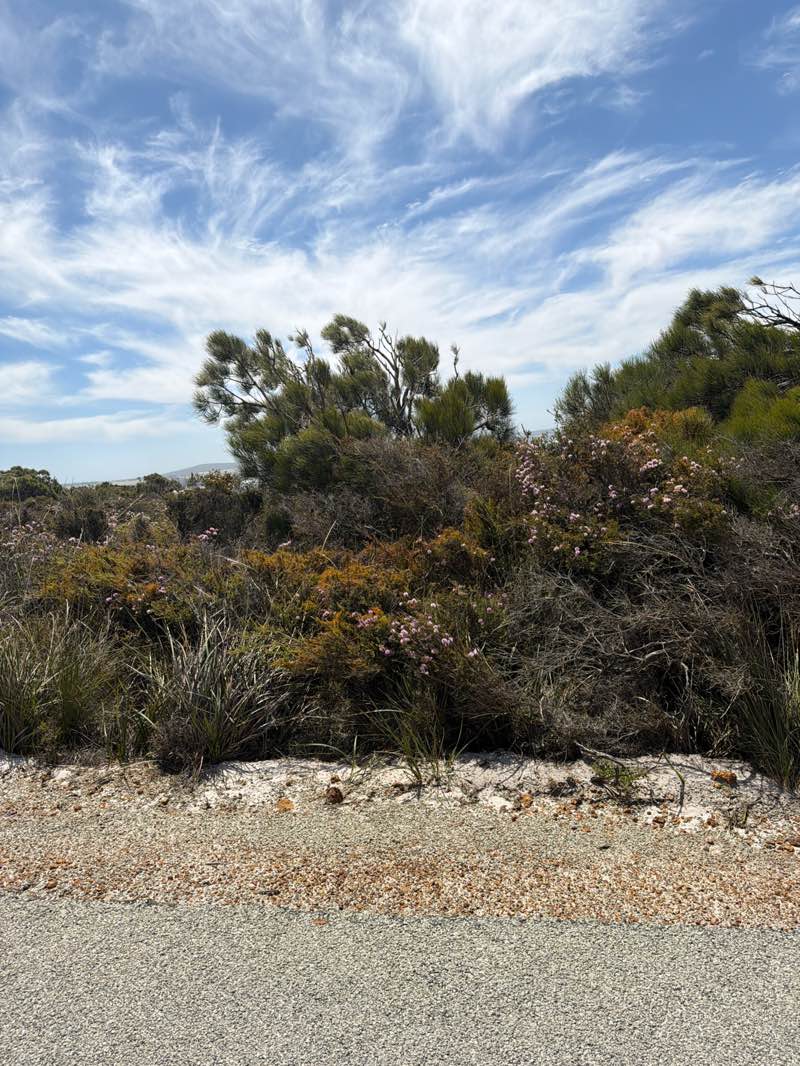 walking near me in Two Peoples Bay Nature Reserve in summer