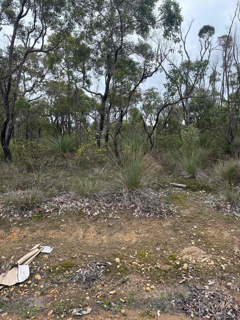 walking near me in Unnamed WA10003 Nature Reserve in spring