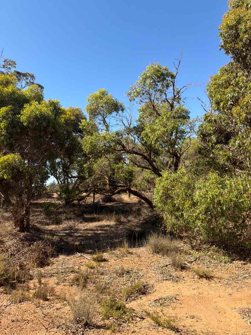 walking near me in Orchid Nature Reserve in summer