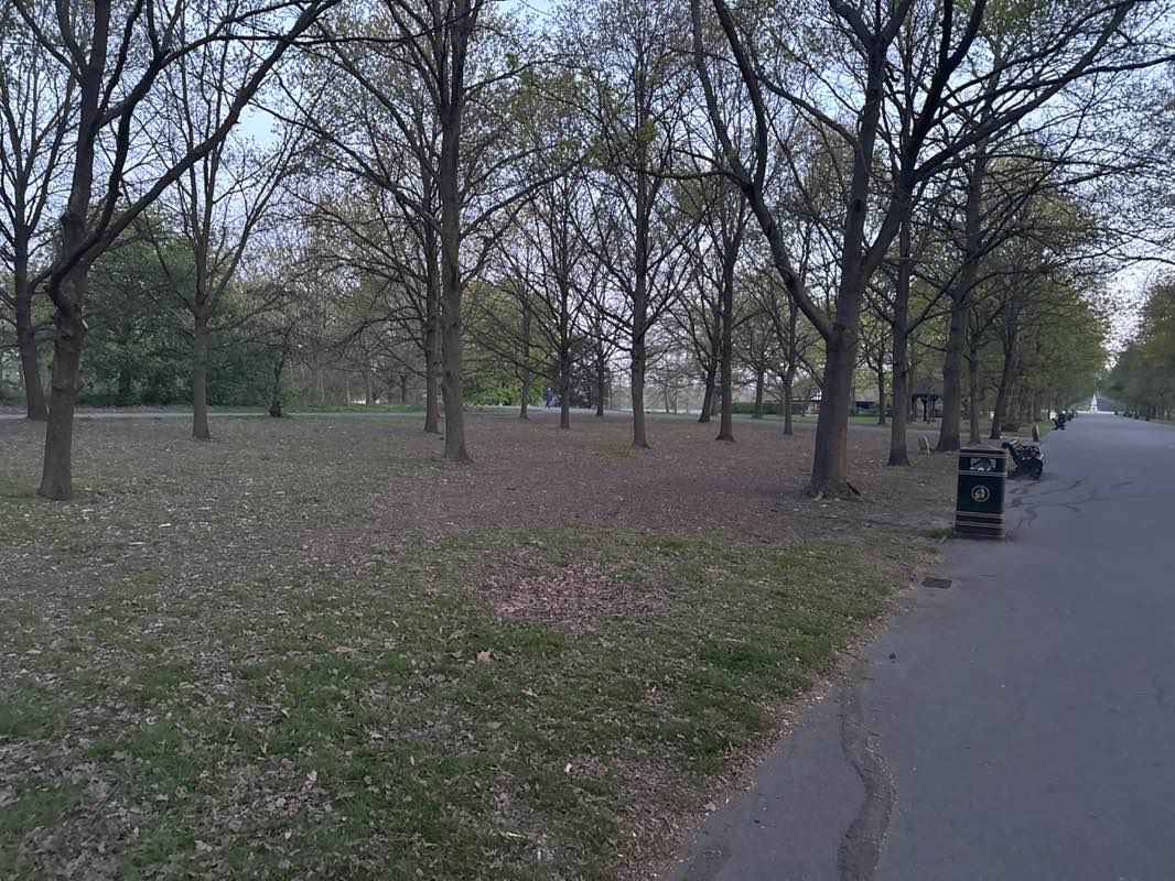 walking near me in The Regent's Park in spring