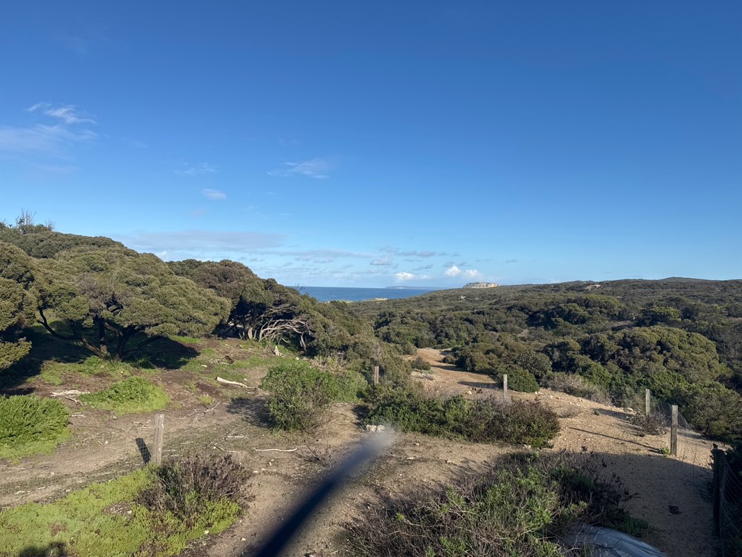 walking near me in Seal Bay Conservation Park in spring